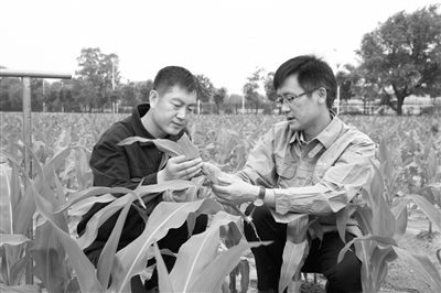孙占祥:在土地上夯实科研之基